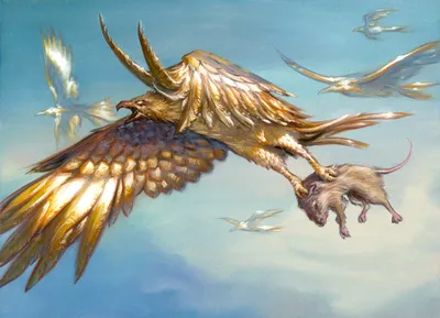 Apex Hawks
