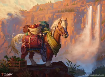Bill the Pony 1