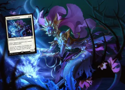 Adept Watershaper 1
