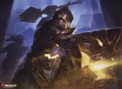 Arashin Sunshield