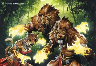 Ajani's Chosen