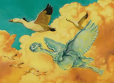 Avian Changeling