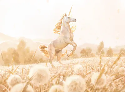 Celestial Unicorn 1
