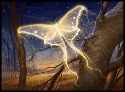Goldenglow Moth