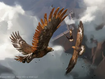 Eagles of the North 1