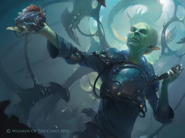 Momir Vig, Simic Visionary