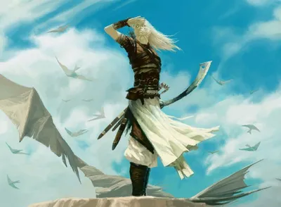 Kitesail Apprentice