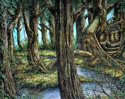 Forest 2