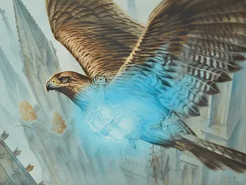 Healer's Hawk