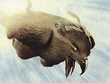 Divebomber Griffin