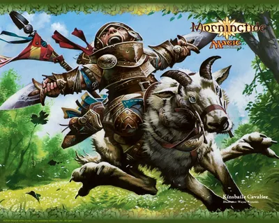 Kinsbaile Cavalier