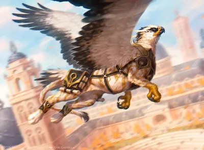 Herald of Amity 1