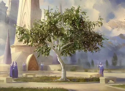 Flowering of the White Tree 1