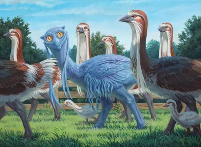 Flock Impostor