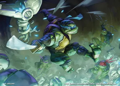 Leonardo, Leader in Blue 1