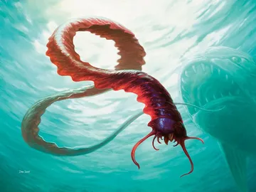Reef Worm
