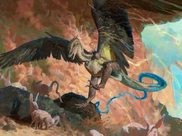 Thunderclap Drake