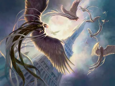 Entreat the Angels