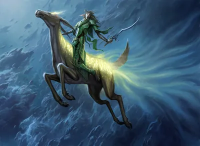 Rune-Cervin Rider