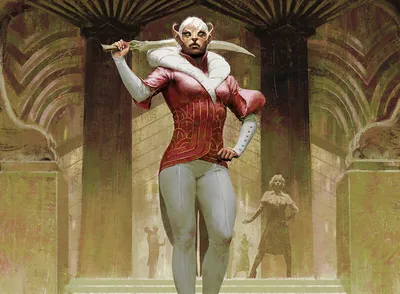 Mage's Attendant
