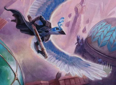Aven Courier 1