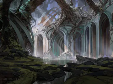 Swamp 1