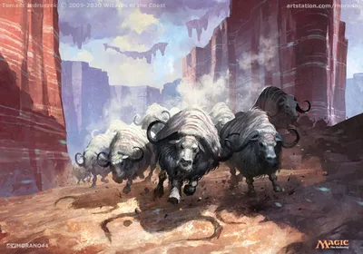 Makindi Stampede