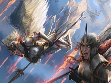Rally of Wings