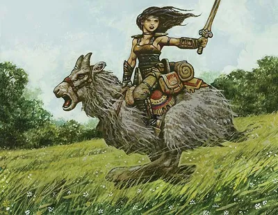 Knight of Meadowgrain