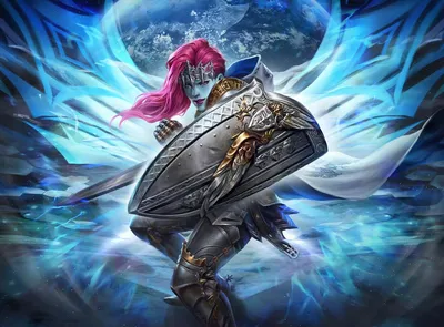 Paladin's Arms