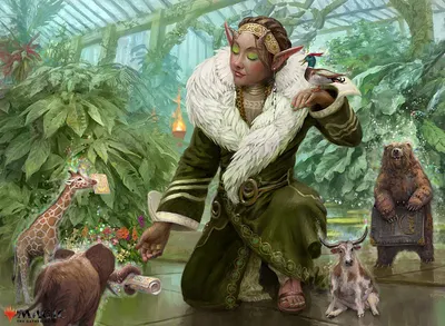 Rumor Gatherer 1