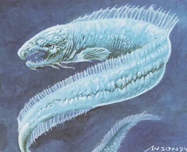 Electric Eel