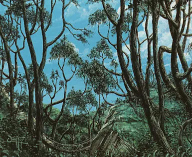 Forest 3