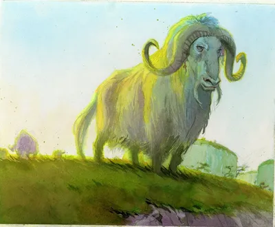Pillarfield Ox