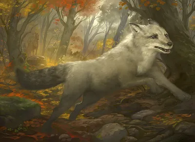 Silverchase Fox