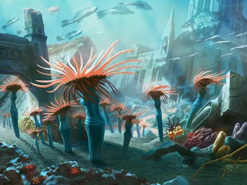 Clinging Anemones