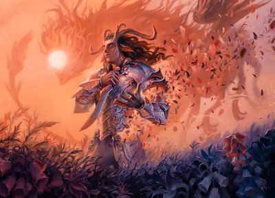 Rhys, the Evermore 1