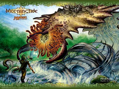 Floodchaser