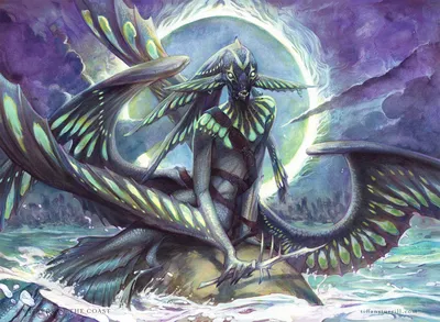 Shore Lurker
