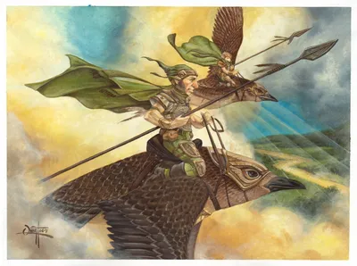 Plover Knights