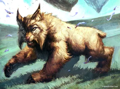 Steppe Lynx