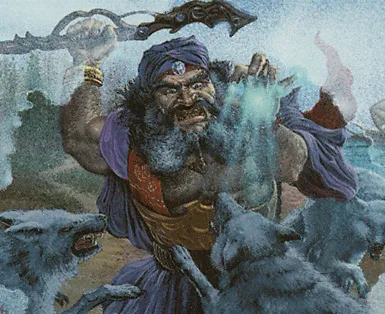 Coastal Wizard