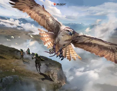 Ranger's Hawk
