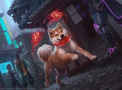 Spirited Companion 1