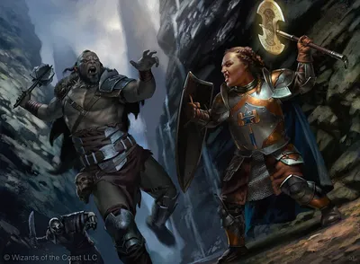 Steadfast Paladin
