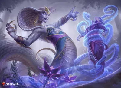 Constrictor Sage