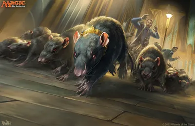 Wave of Rats 1