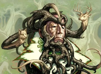 Yavimaya Elder