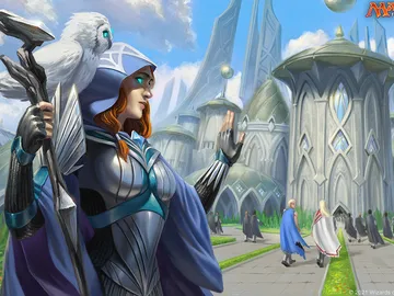 Mentor's Guidance