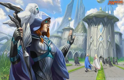 Mentor's Guidance
